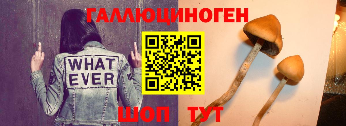 Псилоцибиновые грибы Magic Shrooms Октябрьский